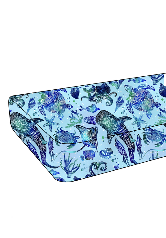 Constellation Aquarium